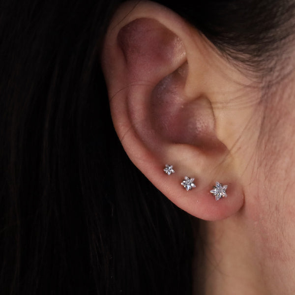 Star Celestial Screw Back Studs